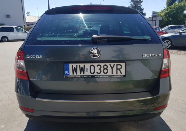 Skoda Octavia cena 34800 przebieg: 197000, rok produkcji 2018 z Grodzisk Mazowiecki małe 254